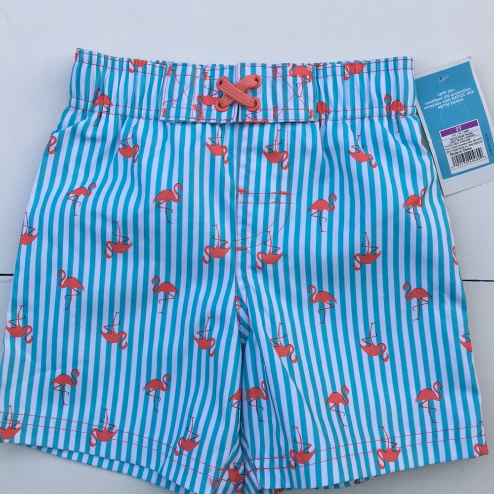 Circo swim trunk flamingo